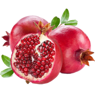 Buah Delima